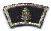 Scout Forester on navy blue, SRS-25C