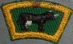Scout Dairyman on green, SRS-29A