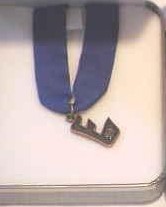 Explorer Leadership Award, Council, 1982-95