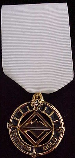 Venturing Gold Medal, Type 2, 2001-on