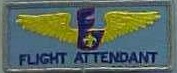 Flight Attendant, AE-48B
